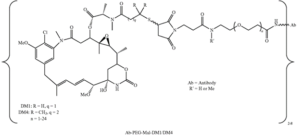 An example immunoconjugate from the '809 application